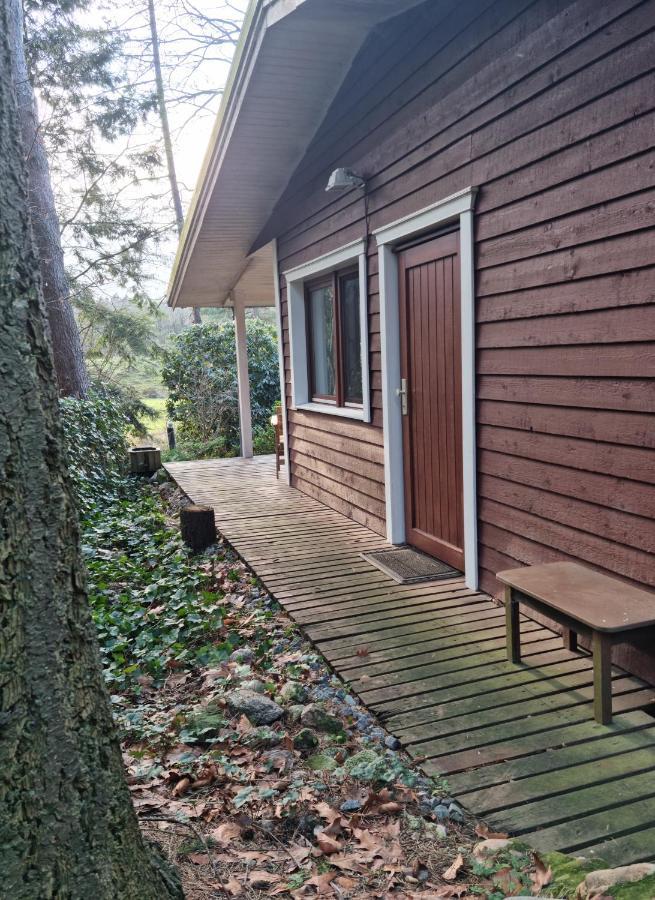 Waldhaus Doetlingen Ferienhaus Im Naturpark Dötlingen Exterior foto