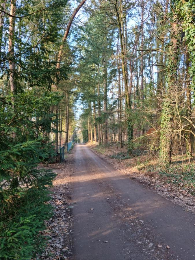 Waldhaus Doetlingen Ferienhaus Im Naturpark Dötlingen Exterior foto