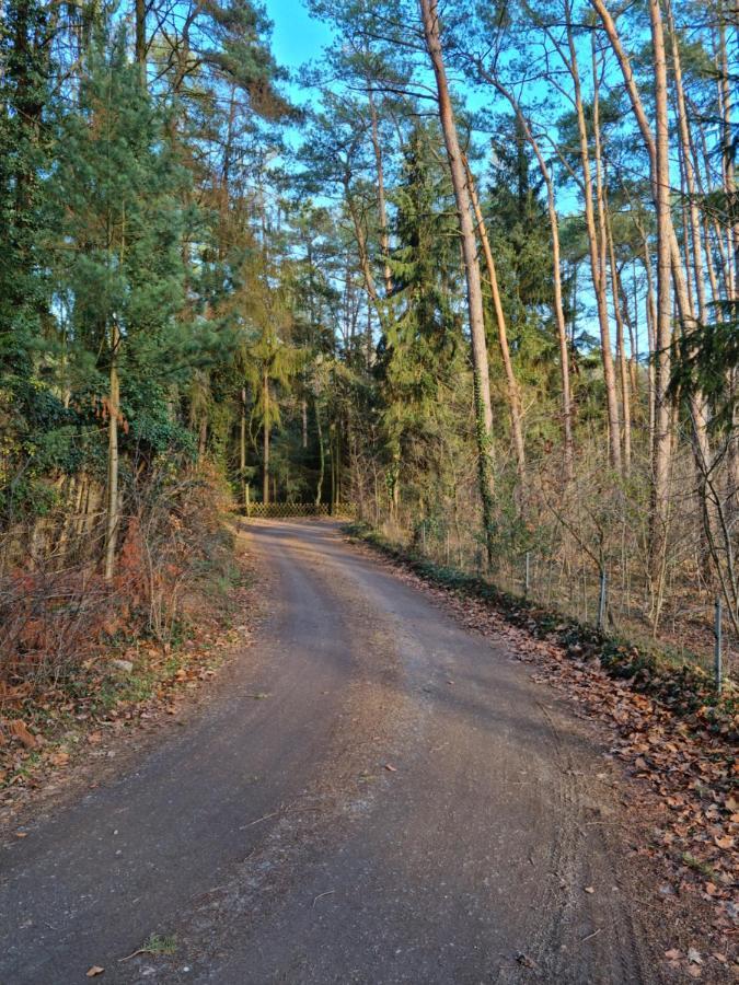 Waldhaus Doetlingen Ferienhaus Im Naturpark Dötlingen Exterior foto